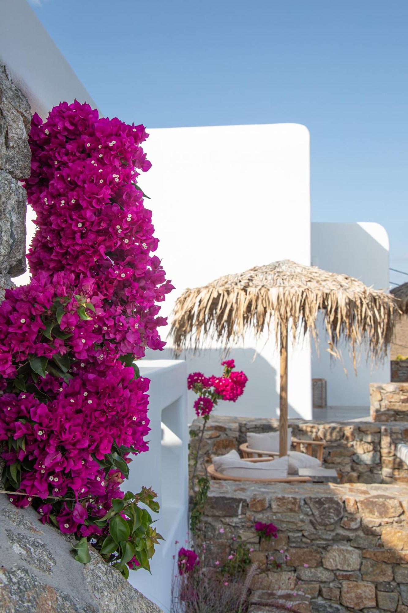 The Summit Of Mykonos Bed & Breakfast Кало Ливади Екстериор снимка