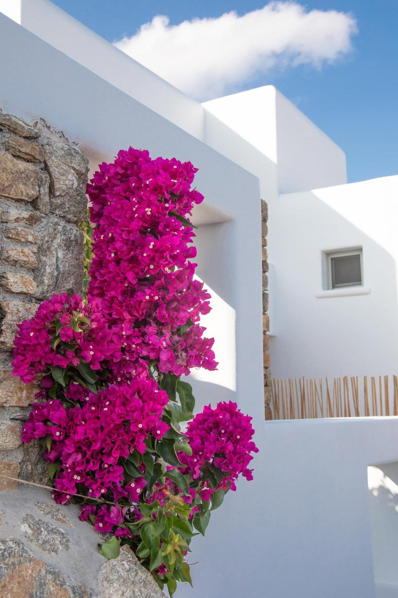 The Summit Of Mykonos Bed & Breakfast Кало Ливади Екстериор снимка